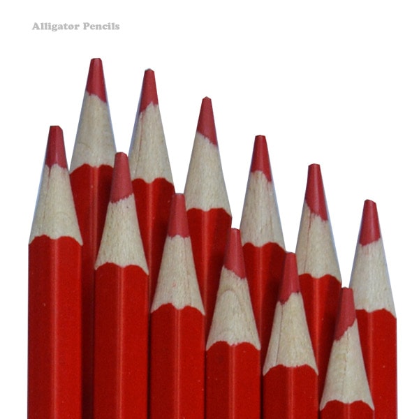 بسته ۱۲ عددی مداد قرمز سوسمار نشان  بسته ۱۲ عددی